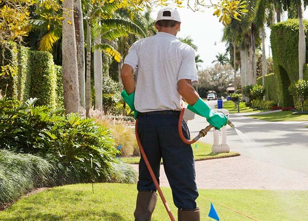 About Chicago Heights IL Pest Control